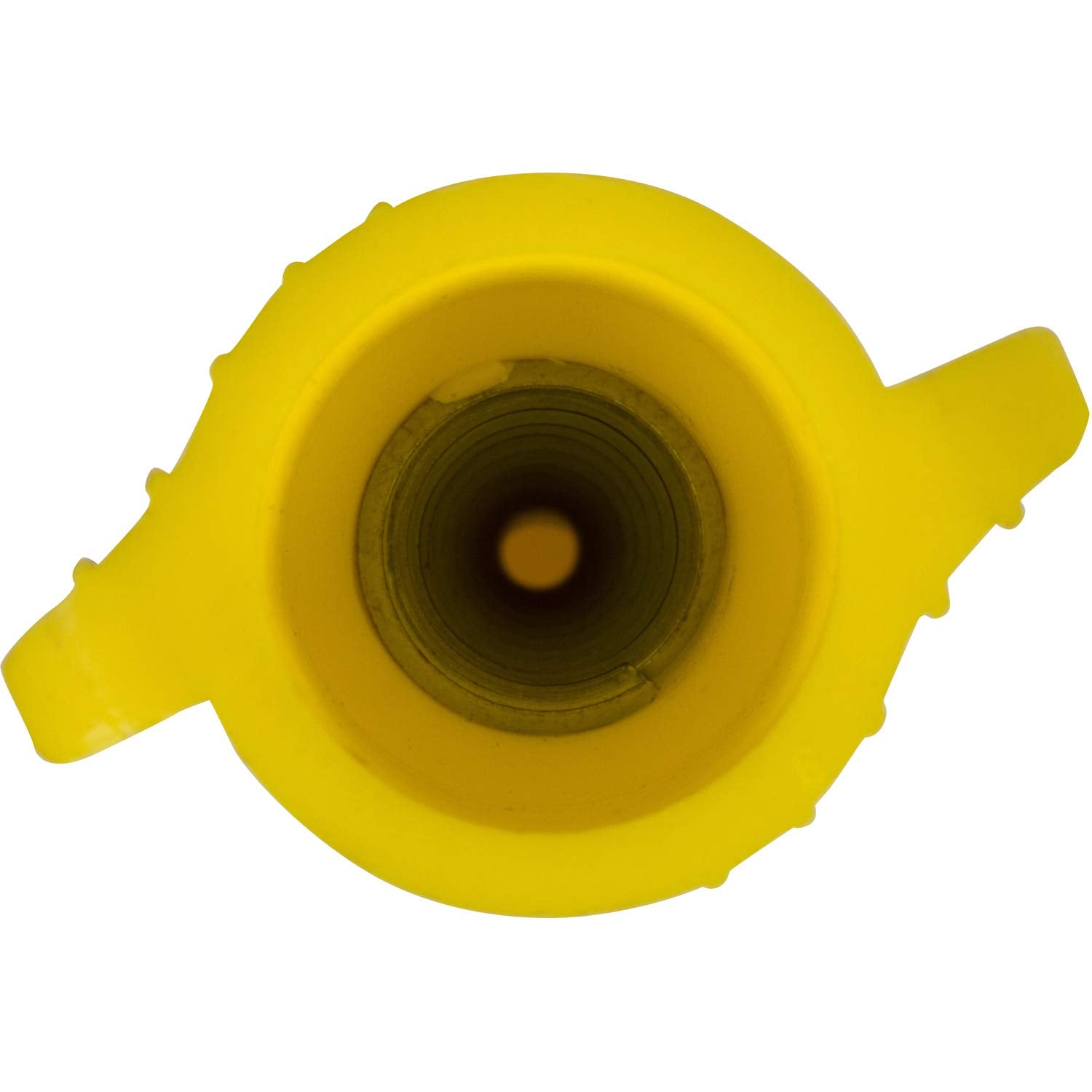 308905246.jpg