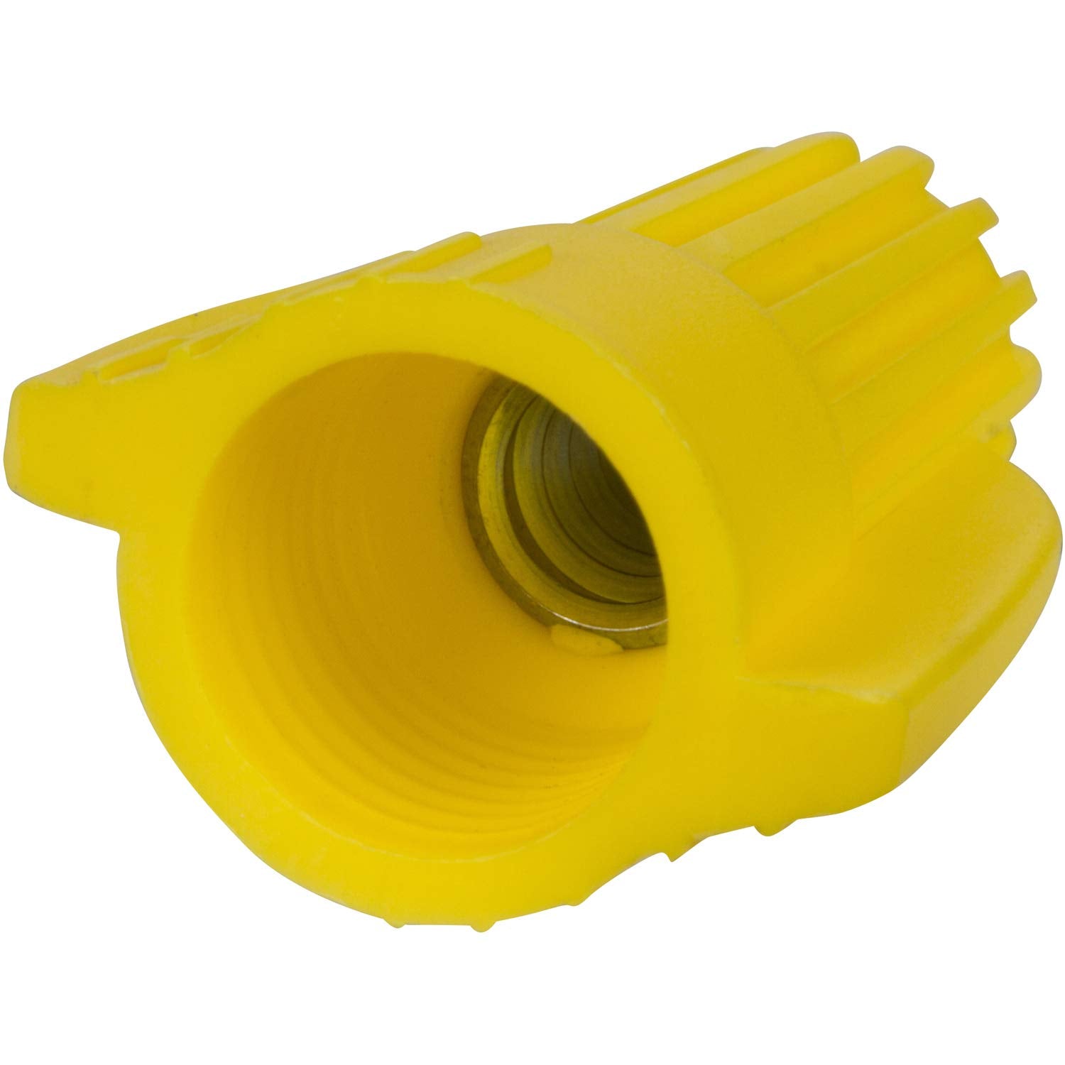 308905247.jpg
