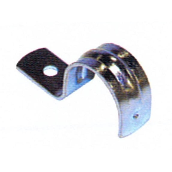 308906125.jpg