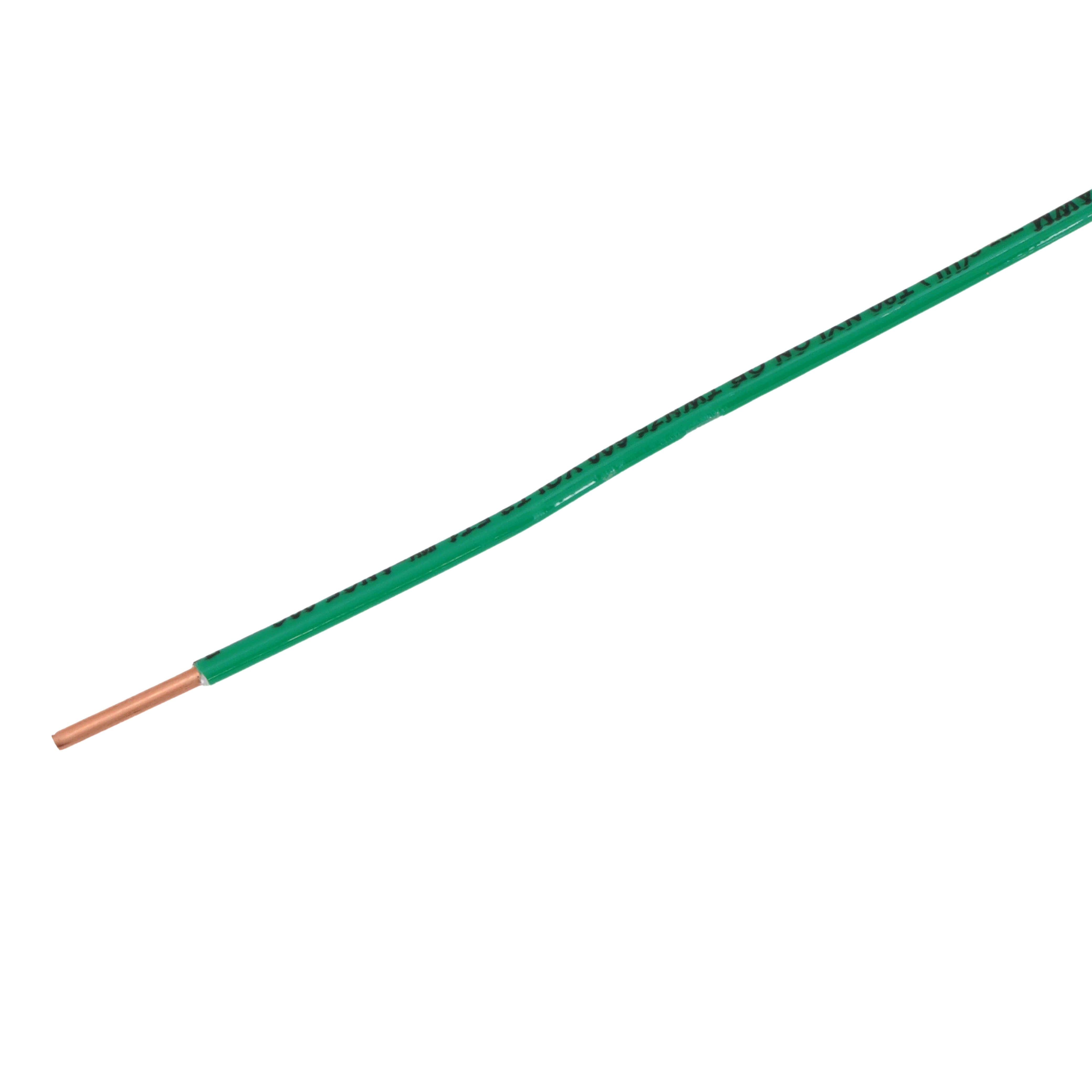 308907856.jpg