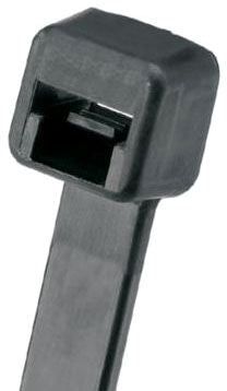 308908850.jpg