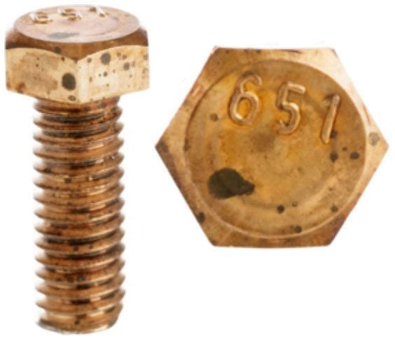 308909847.jpg