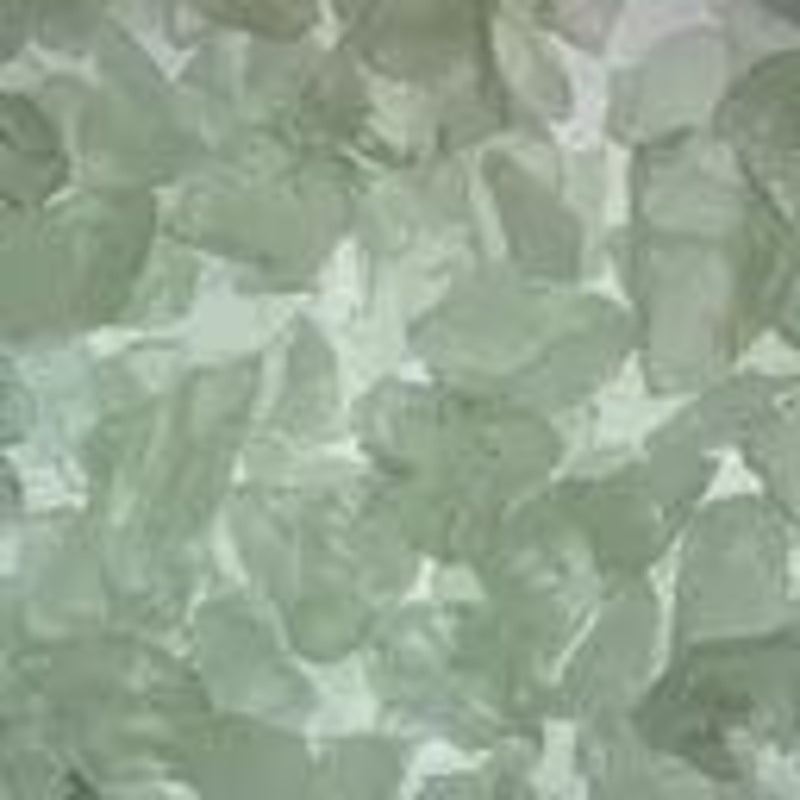 308910043.jpg