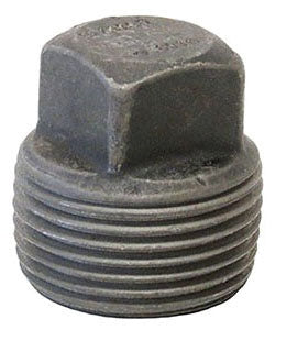 308914029.jpg