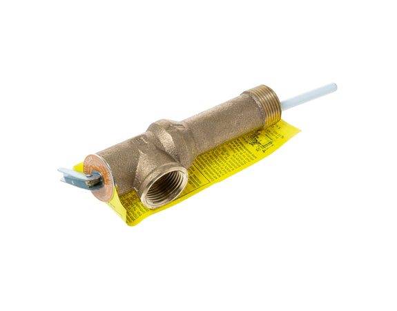GE APPLIANCES Ge Appliances WS06X21923 t-p valve