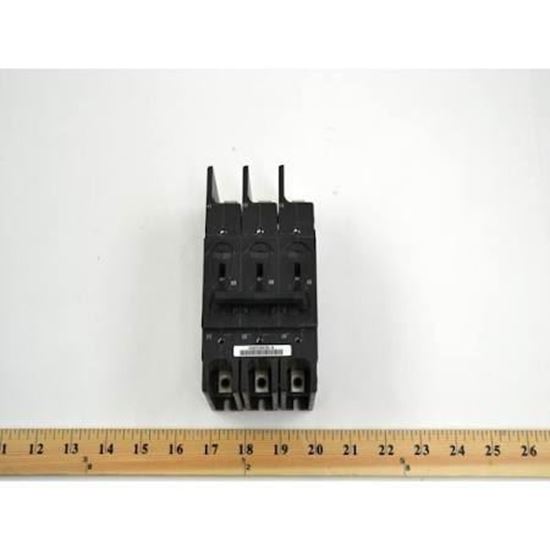 309545245.jpg