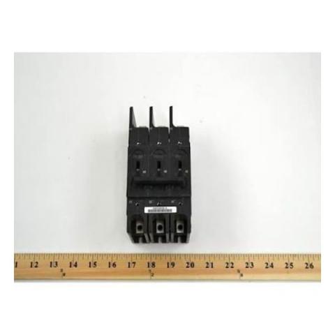 309545246.jpg