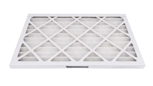 Raypak 012599F Media Pleated Air Filter Panel 1005A-2005A Xtherm