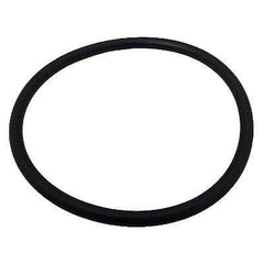 Pentair B4951 Manway O-Ring for THS Series Filters