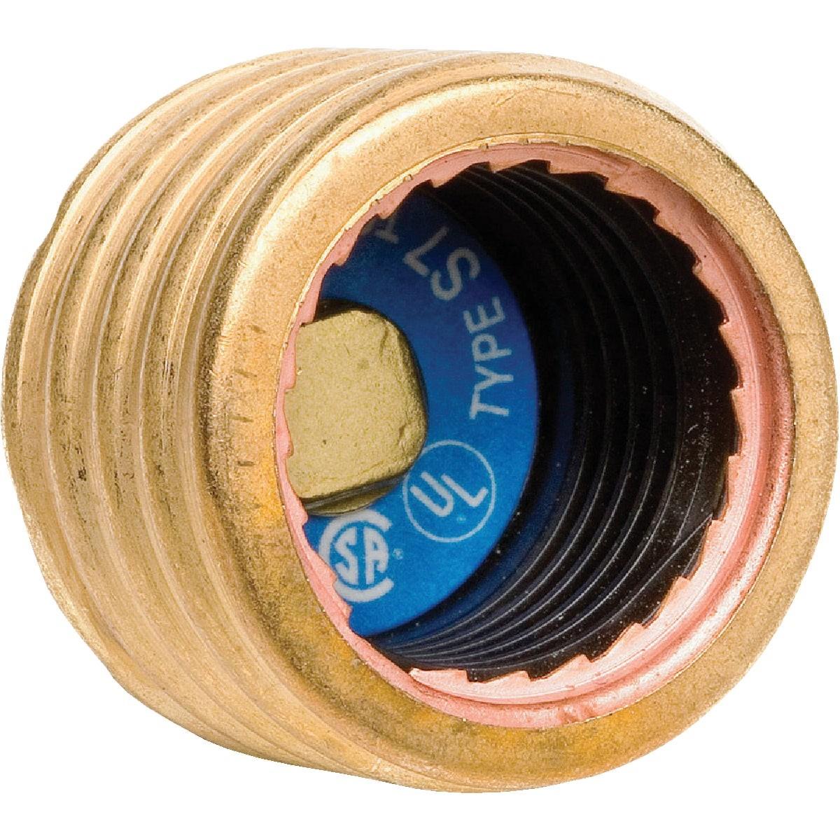 312630262.jpg