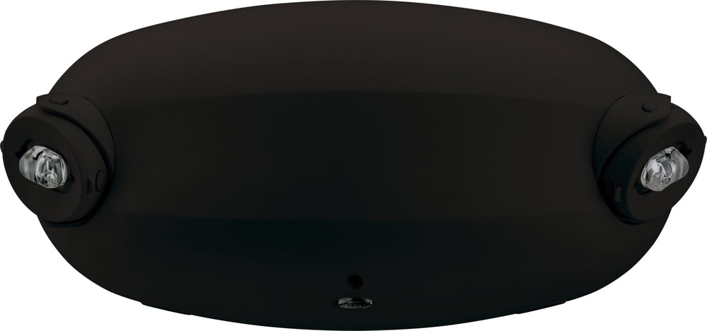 312664204.jpg