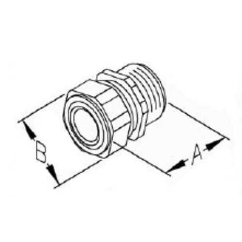 312664426.webp