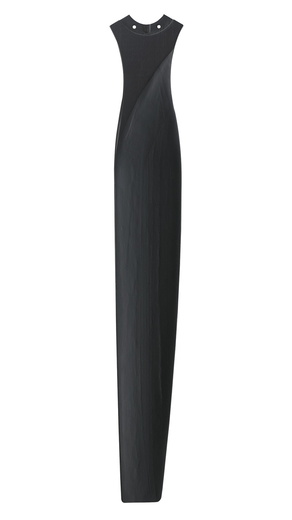 312665245.jpg