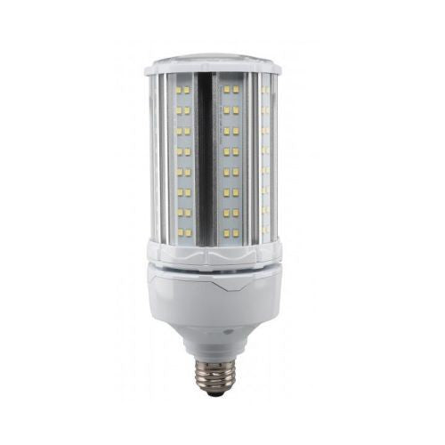 312666941.jpg
