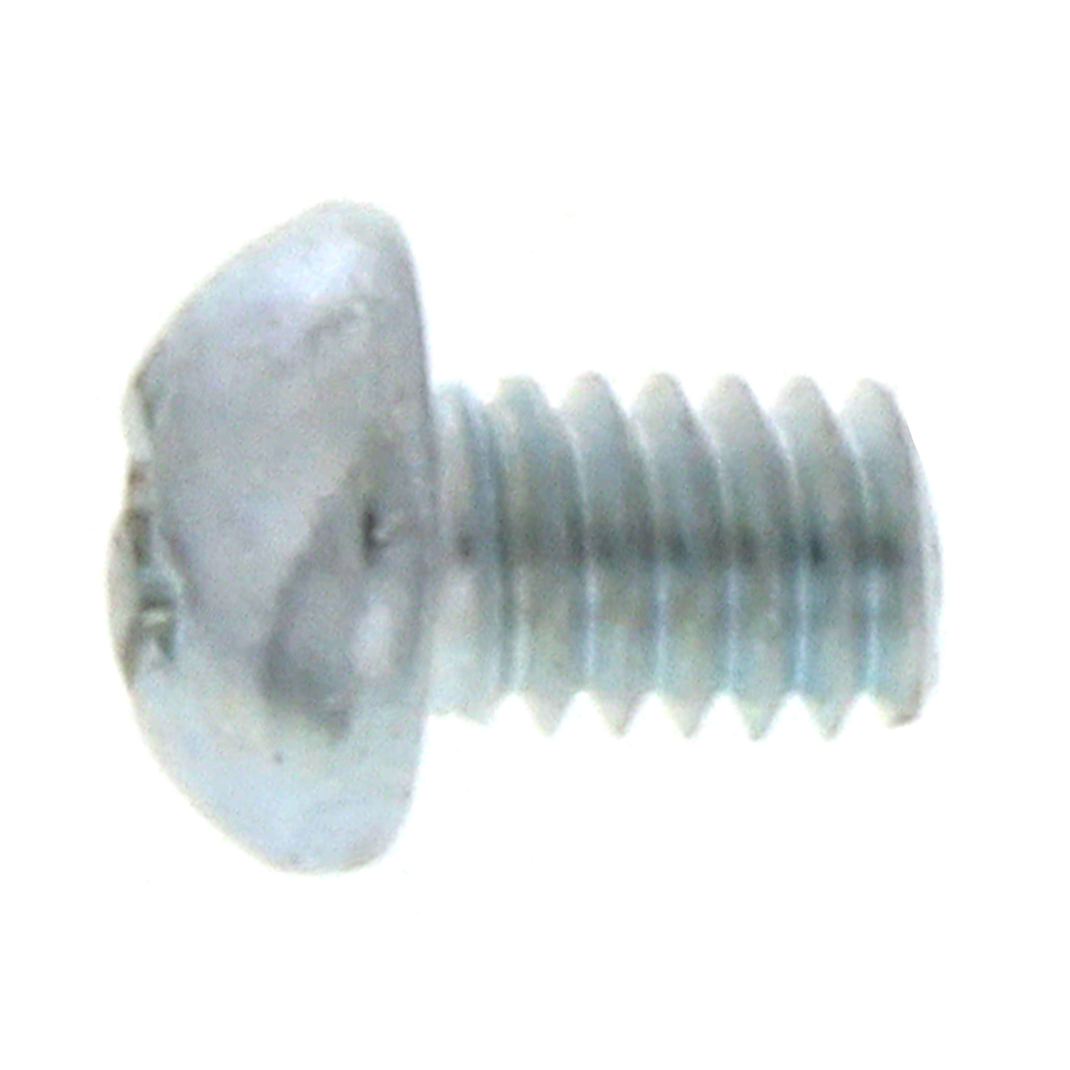 312667487.jpg