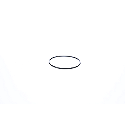 312669224.webp