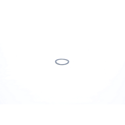 312669229.webp
