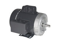 312669985.jpg