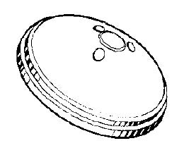 312671136.jpg