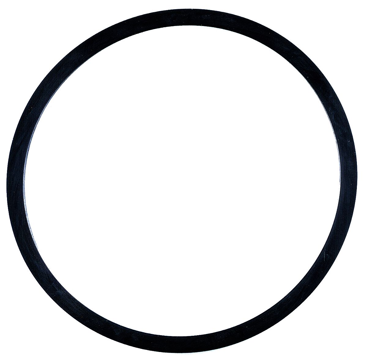 313043596.jpg