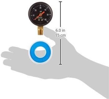 Zodiac R0556900 Pressure Gauge Replacement for Select Zodiac Jandy CS and CJ Series Cartridge Filter