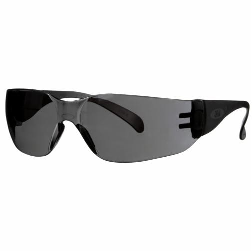 3M 3M 90954-BU10-NA Outdoor Safety Eyewear L 10 Pack