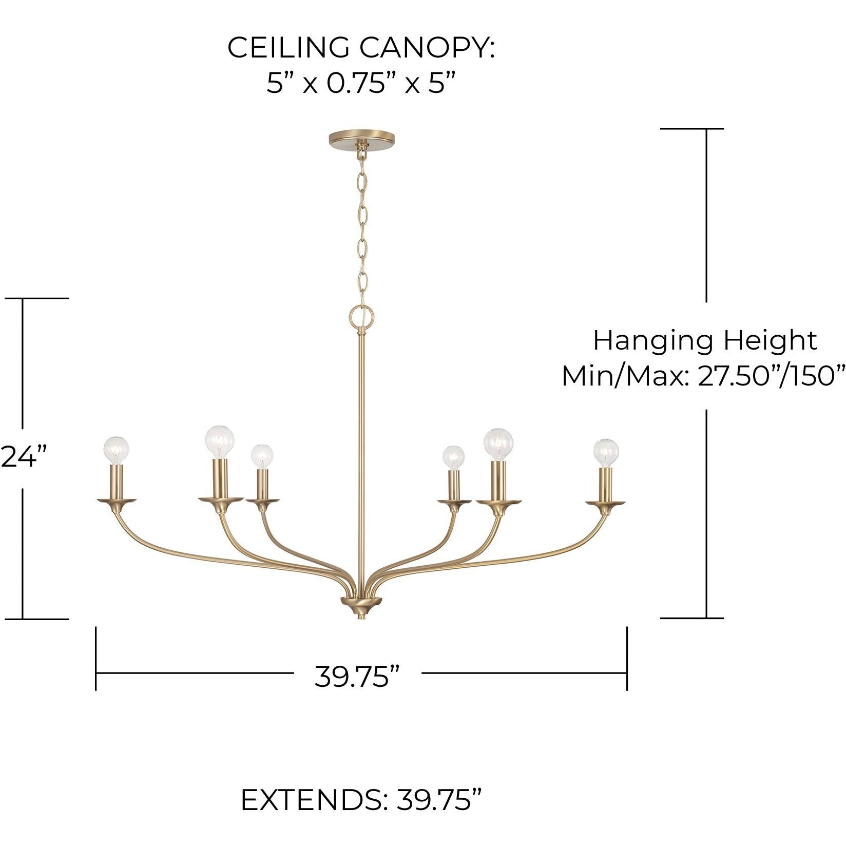 CAPITAL LIGHTING Capital Lighting 449961MA Dolan Chandelier 360W (39.75 in x 24 in)