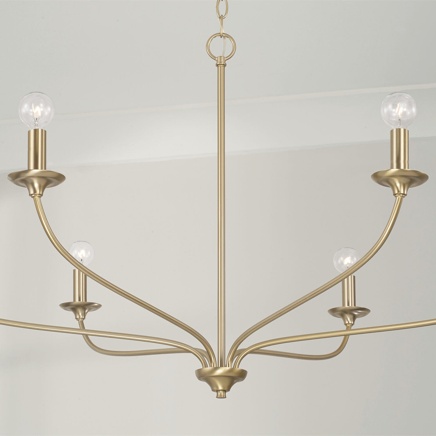 CAPITAL LIGHTING Capital Lighting 449961MA Dolan Chandelier 360W (39.75 in x 24 in)