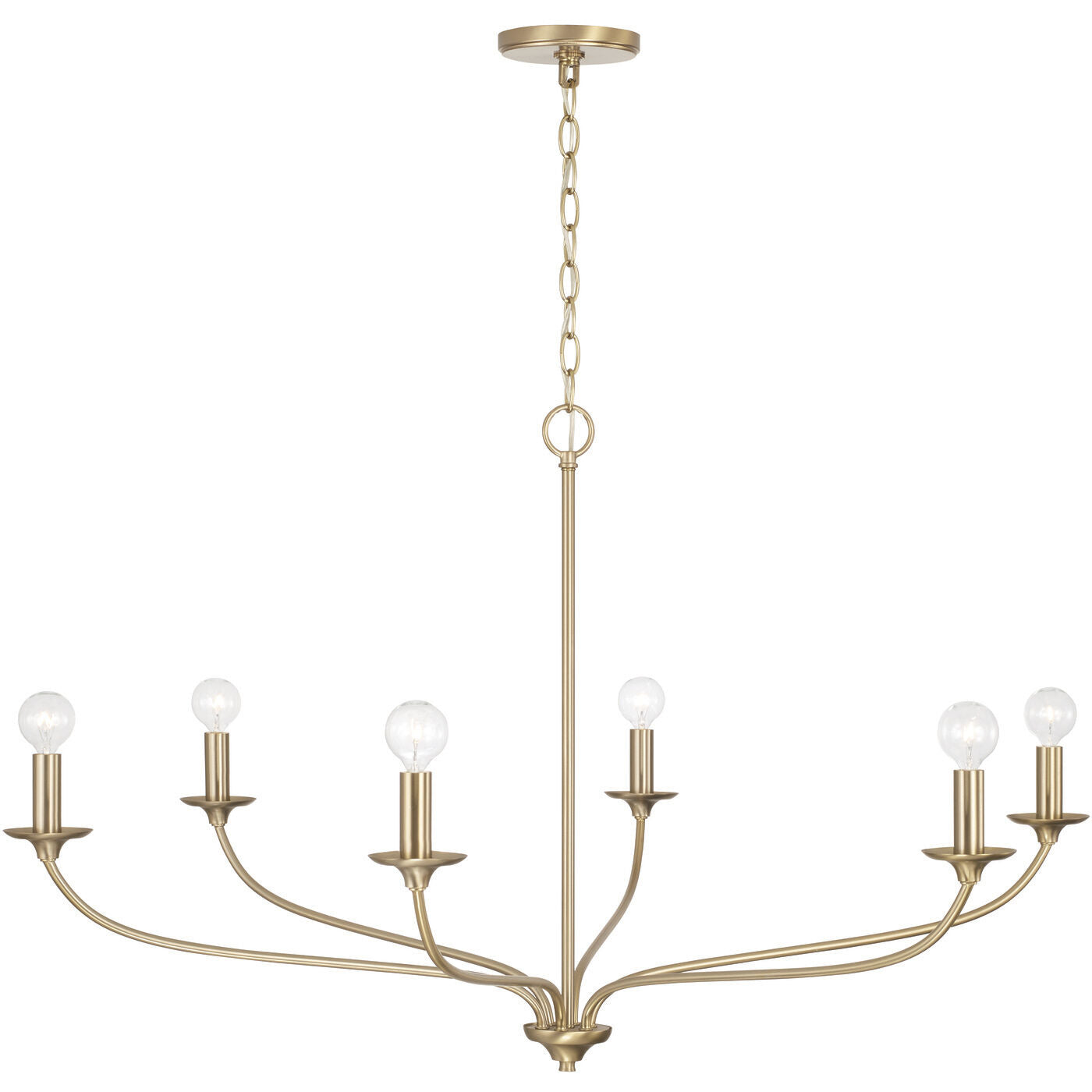 CAPITAL LIGHTING Capital Lighting 449961MA Dolan Chandelier 360W (39.75 in x 24 in)