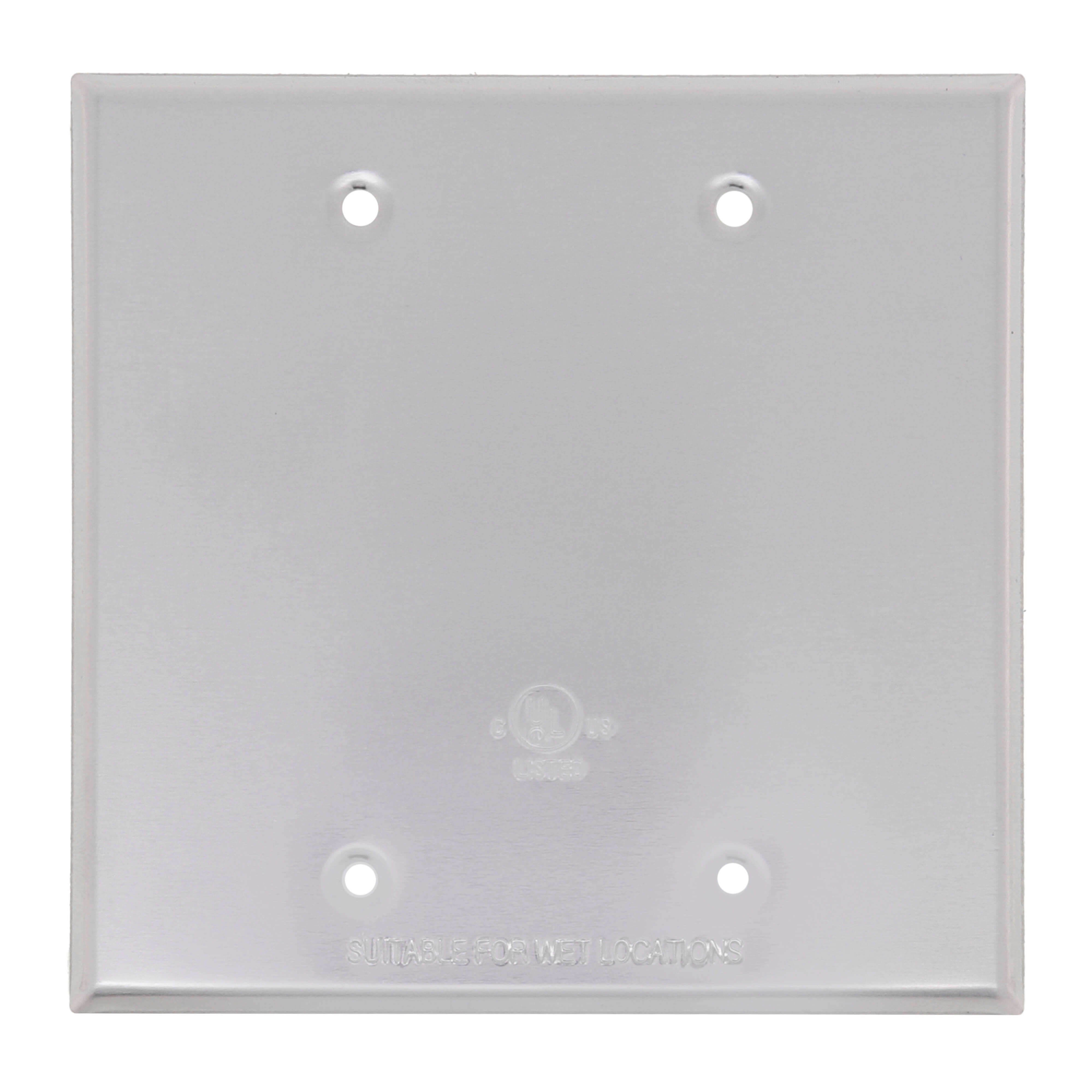 SOUTHWIRE Southwire WC2B 2-Gang Blank Weatherproof Cover (4.57 in x 4.62 in)