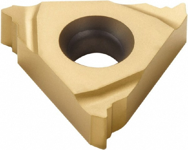 SECO TOOLS Seco 00046211 Laydown Threading Insert 1.0mm Iso