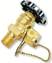 Western Enterprises WSV-1-1 Valves Model Code: AC