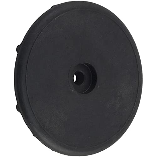 Pentair 77707-0009 Display Cover Retainer Cap Replacement Kit for Sta-Rite Max-E-Therm Heater