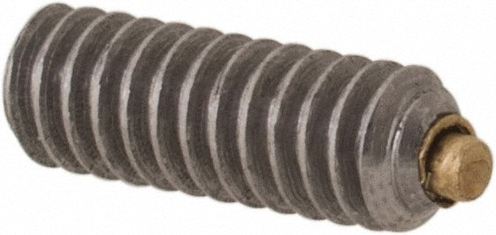VALUE COLLECTION Value Collection BT-256-250-SS Set Screw 2-56 X 1/4 in