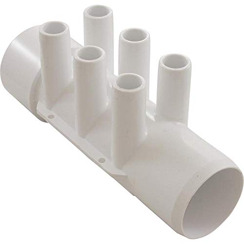 Waterway Plastics 672-7620 Manifold 2Shr X 2Shr Sct X 6 Ports