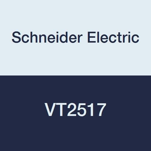 Schneider Electric VT2517 2-Position Valve Body 8 Cv 1-1/4 Inch