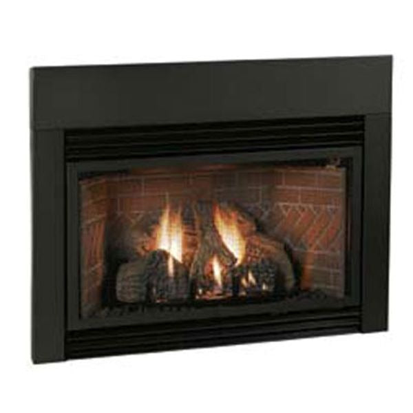 EMPIRE COMFORT SYSTEMS Empire Comfort Systems VFP28IN33LP Innsbrook Medium Vent-Free Fireplace Insert 28,000 Btu (Medium) VFPC28IN33P