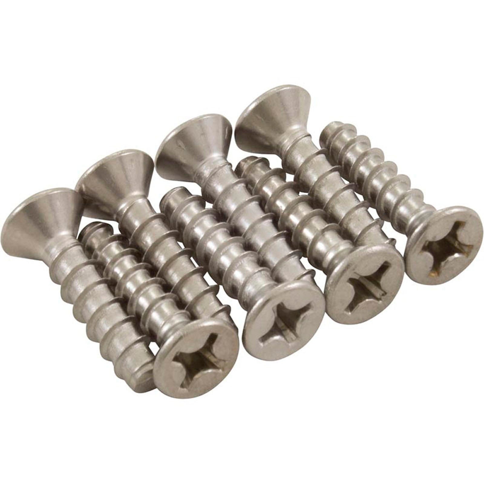 HAYWARD Hayward SPX1039Z18 Main Drain Screw Set 8/Pack HPPSPX1039Z18