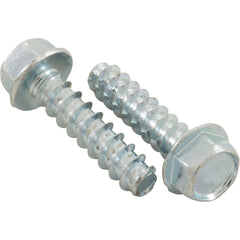 Hayward SPX1600Z52 Mounting Foot Cap Screw, 2/Pack