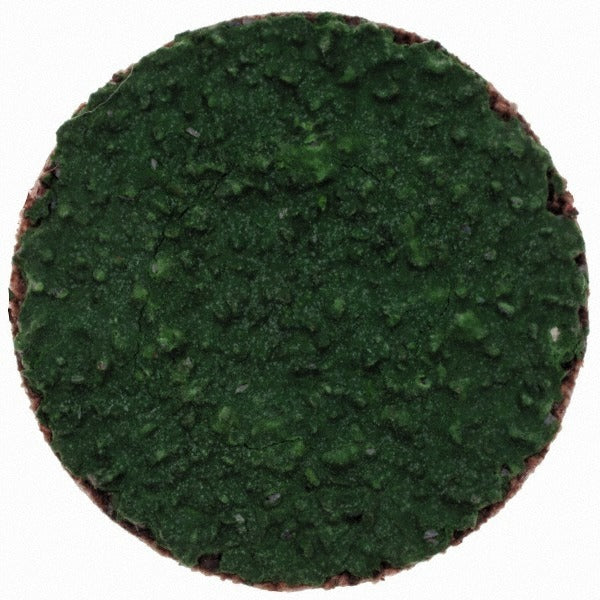 MERIT Merit Abrasives 08834167052 Quick-change Disc 40 Grit 1 in