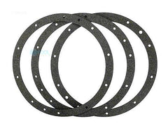 Pentair 79200700 10 Hole Standard Gasket Set With Double Wall