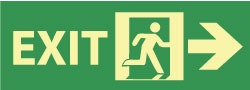 ACCUFORMNMC Accuformnmc GL308P Glow-in-the-dark Adhesive Exit Sign