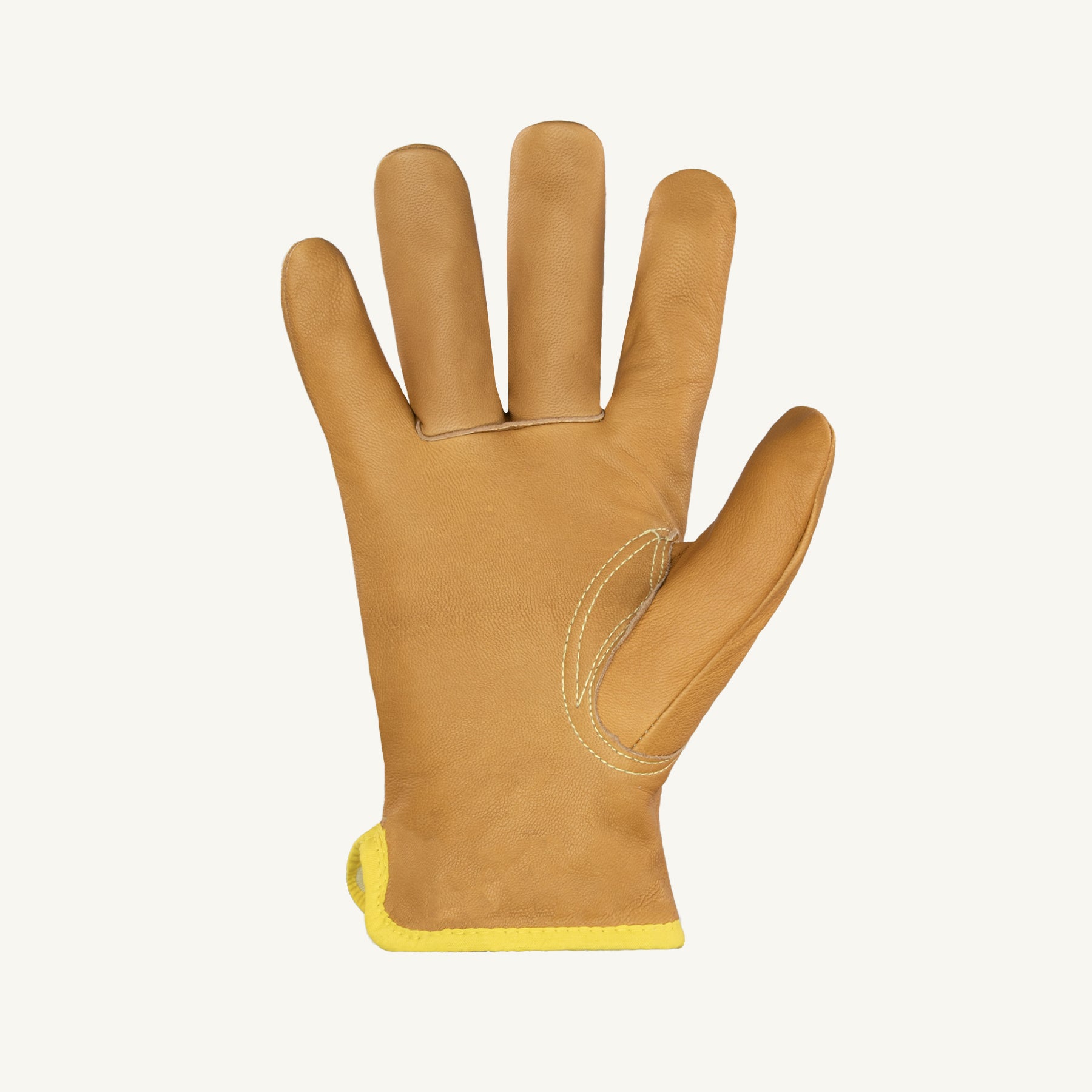 378GOBKL-Palm.jpg
