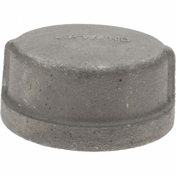 VALUE COLLECTION Value Collection B10412 Black End Cap 2-1/2 in Threaded 300 Psi