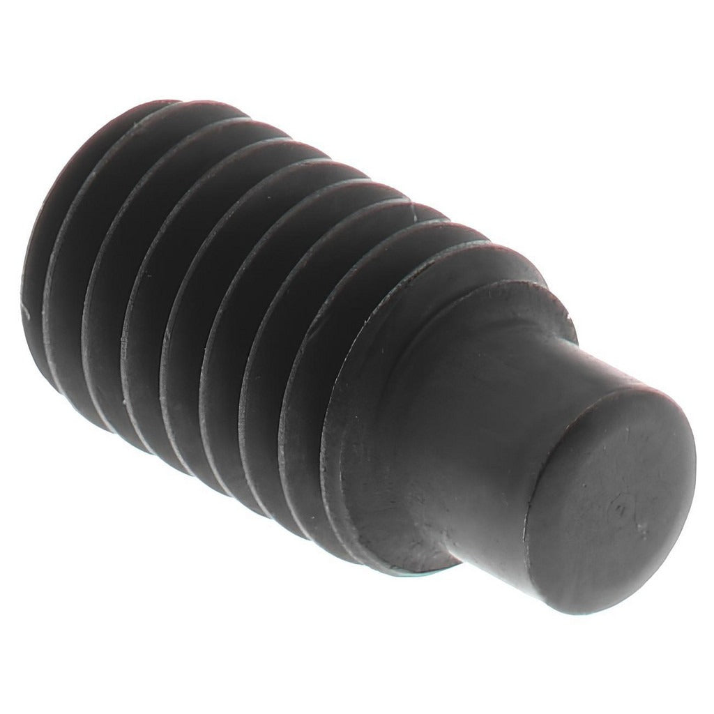 VALUE COLLECTION Value Collection 833037PR M4 X 0.70 X 12 Mm Dog Point Set Screw