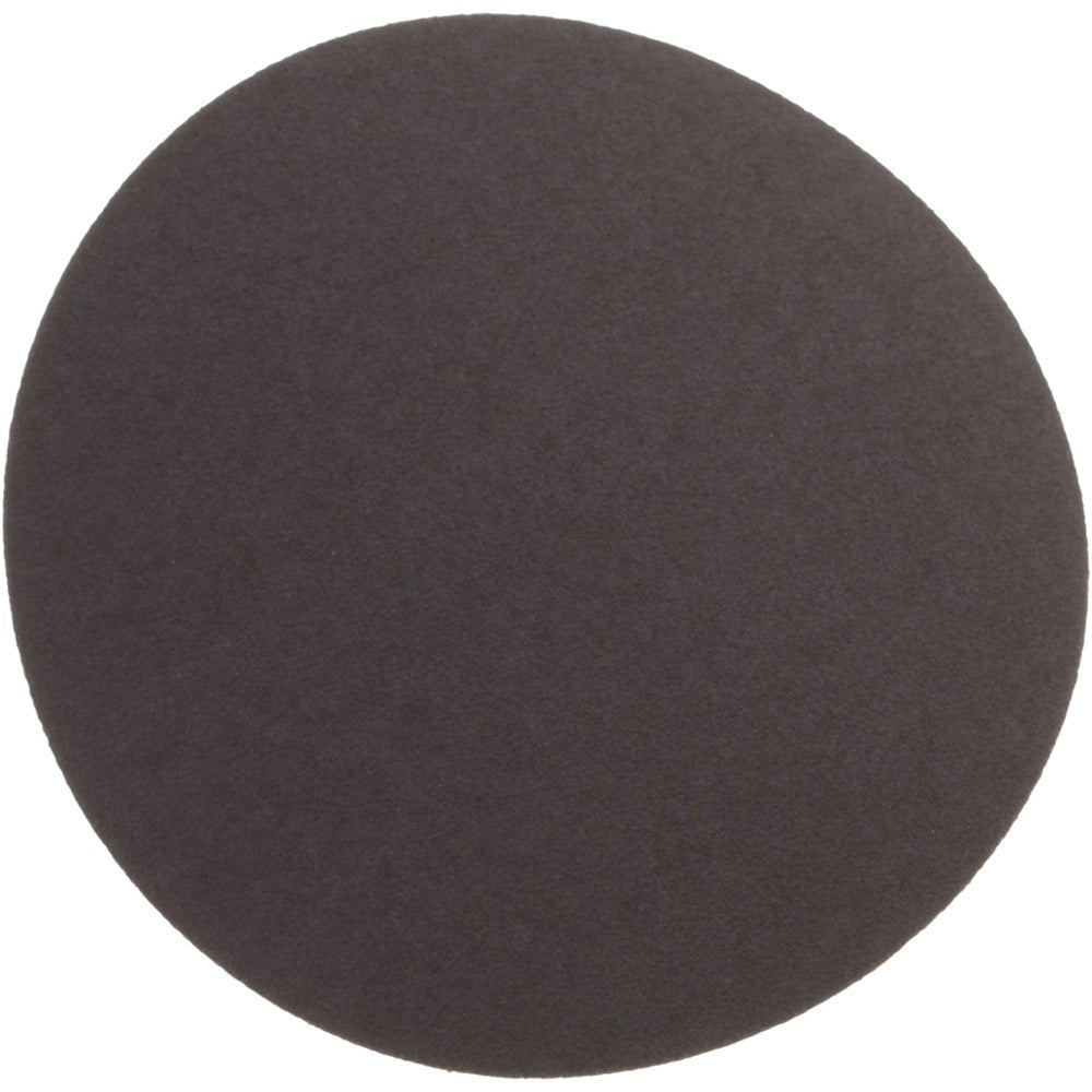 NORTON Norton 66261136583 5 Inch 120 Grit Sanding Disc