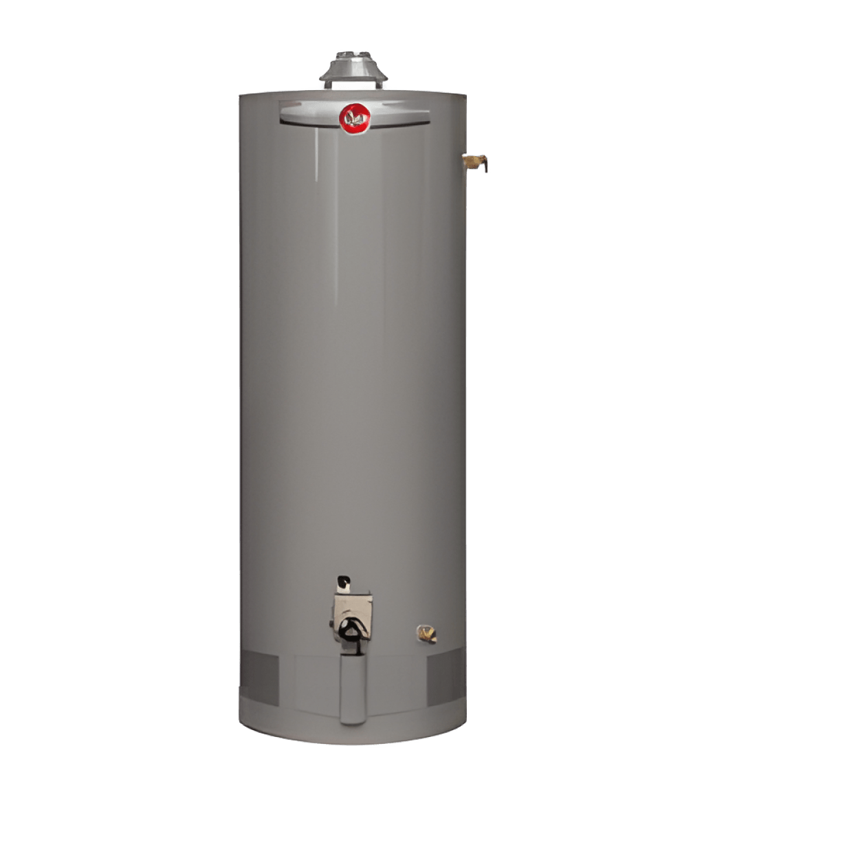 Rheem PROG50-36P RH60 Professional Classic 50 Gallon Tall Atmospheric LP Gas Water Heater 36000 BTU/H