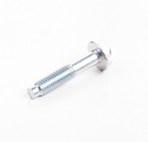 BRIGGS & STRATTON Briggs Stratton 699208 Screw Oem Replacement Part