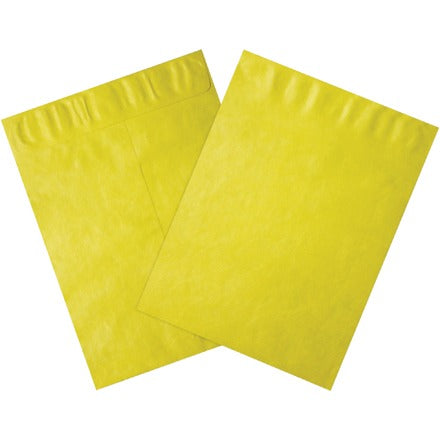 BSC PREFERRED Bsc Preferred TYC912Y Tyvek Envelopes 100 Per Case
