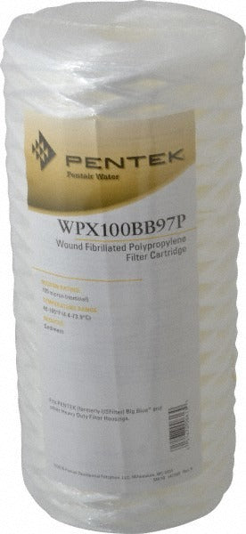 PENTAIR Pentair 355221-43 Cartridge Filter 100 Micron Big Blue